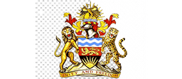 Population Services International